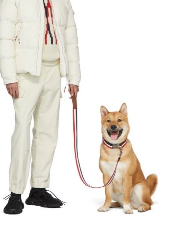 Moncler Other - Moncler  x Poldo Dog Couture Edition Tricolor Leash
